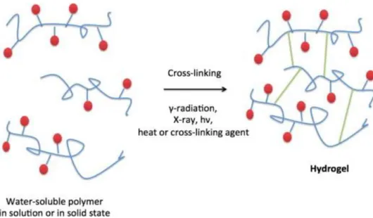 Fig. 9 – Chemical gels: radiation cross-linked polymers from Caló and Khutoryanskiy 2015 