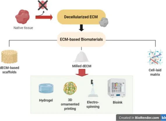 Fig. 10 - A schematic representation of extracellular matrix-based biomaterials to be used in a variety of  applications