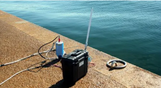 Figure 2.3: Manta with an antenna and acoustic modem installed