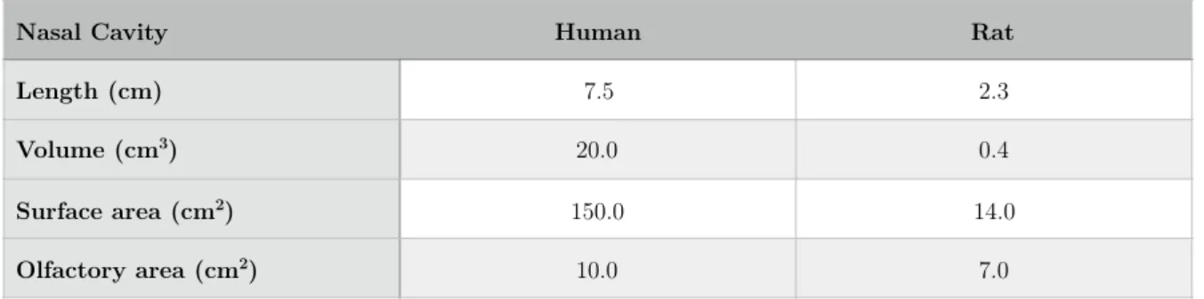 Table 1 - Characteristics of nasal cavity between Human and rat[17].  