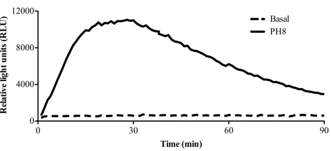 Figure  9.  Production  of  reactive  oxygen  species  by  macrophages  stimulated  with  L