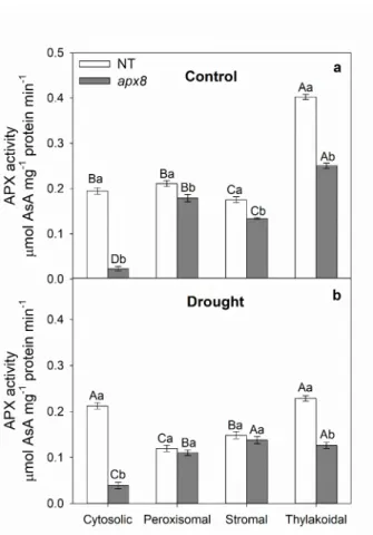 Figure  1. Ascorbate  peroxidase  activity  in  cytosolic,  stromal,  thylakoidal  and  peroxisomal  fractions measured in leaves of rice plants exposed to control (a) or 4 days of drought stress  (b)