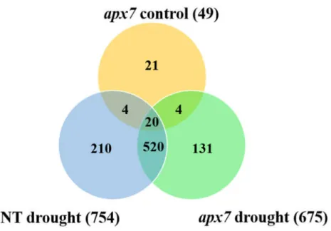 Figure 6. Proteome changes of rice NT and  apx7 leaves after control or 4 days of drought  stress