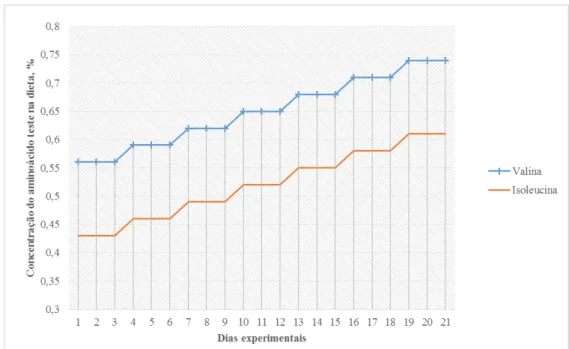 Gráfico 2. Níveis crescentes de valina e isoleucina de acordo com o período experimental