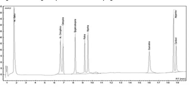Figura 2: Cromatograma padrão do método empregado nas análises  