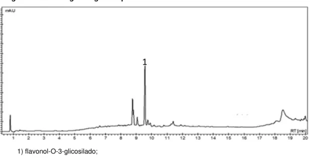 Figura 6: Cromatograma gerado pela análise da FALR 