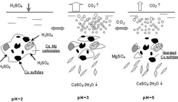 Figura 2.4  – Diagrama esquemático do processo de lixiviação ácida de carbonatos presente  em minérios