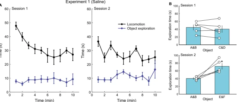Fig. 2. Mice recognise familiar objects in the second exploration session. (A) Line graphs show mean time moving in the arena (black) and exploring objects (blue) in 1-min blocks during the 10-min exploration period of session 1 (left) and session 2 (right