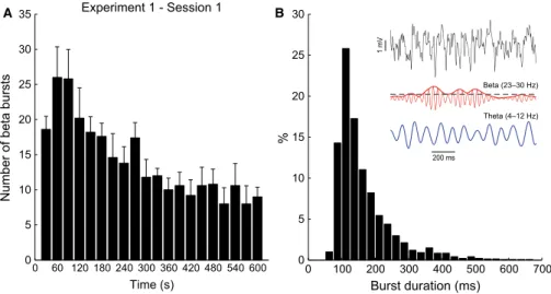 Fig. 7. Characterisation of beta2 bursts. (A) Beta2 burst count in non-overlapping 30-s windows during the ﬁrst object exploration session
