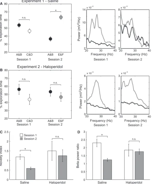 Fig. 10. Blocking object recognition in the second exploration session leads to a resurgence of beta2 activity