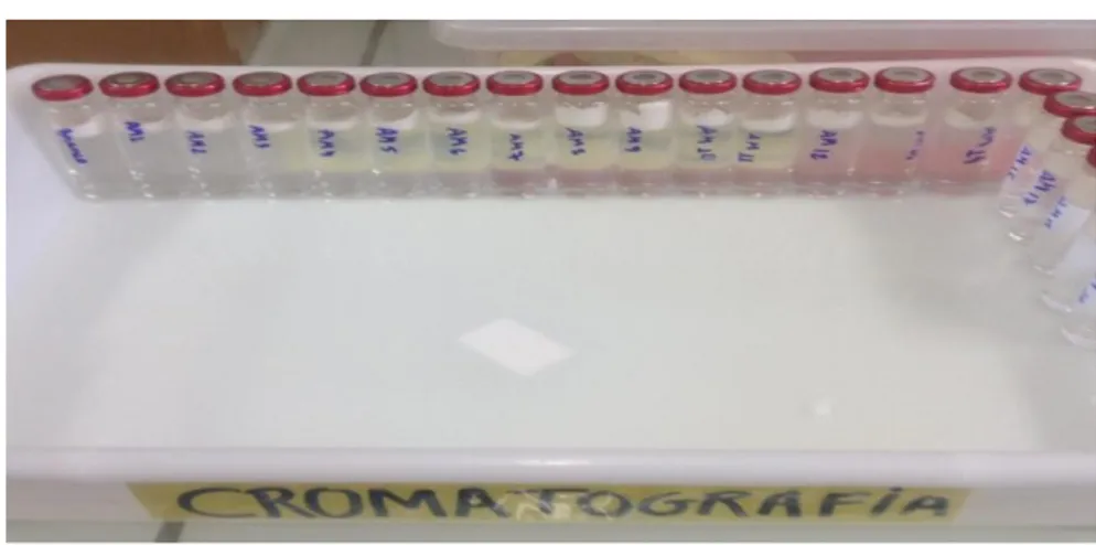 Figura 12 – Vials com material adsorvente para análise cromatográfica. 