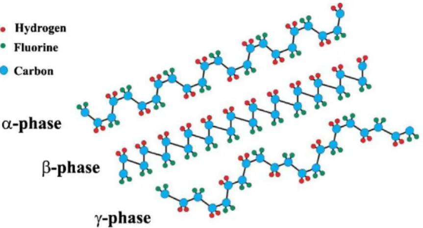 Figure 1 -  PVDF α, β and γ phases structures  [3] 
