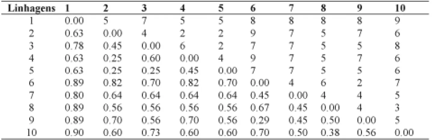 TABELA 3. Matriz de distância genética entre as linhagens, calculada pelo complemento aritmético do índice de Jaccard (abaixo da diagonal)