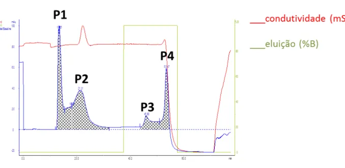 Figura 1 – Cromatográfica de afinidade à gelatina com proteínas do plasma seminal de ovinos