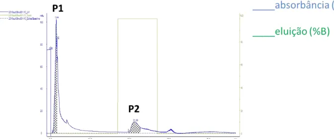 Figura 4 - Cromatográfica de afinidade à heparina com proteínas contidas na fração P4 ligadas  à gelatina