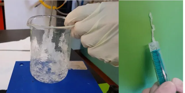 Figure 4.1. Bioactive glass obtained by sol-gel - EISA process using with a structure-directing agent (Plu- (Plu-ronic F127)