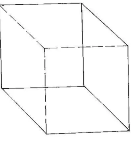 Figura 2.1: Cubo.