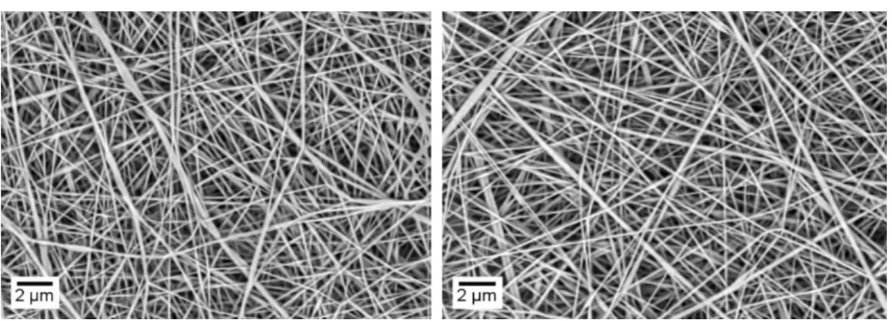 Figure 3.5 - SEM image for fibres produced according to parameters 0.25 ml.h  -1 ; 15 cm and 15 kV for the 4 wt.% 