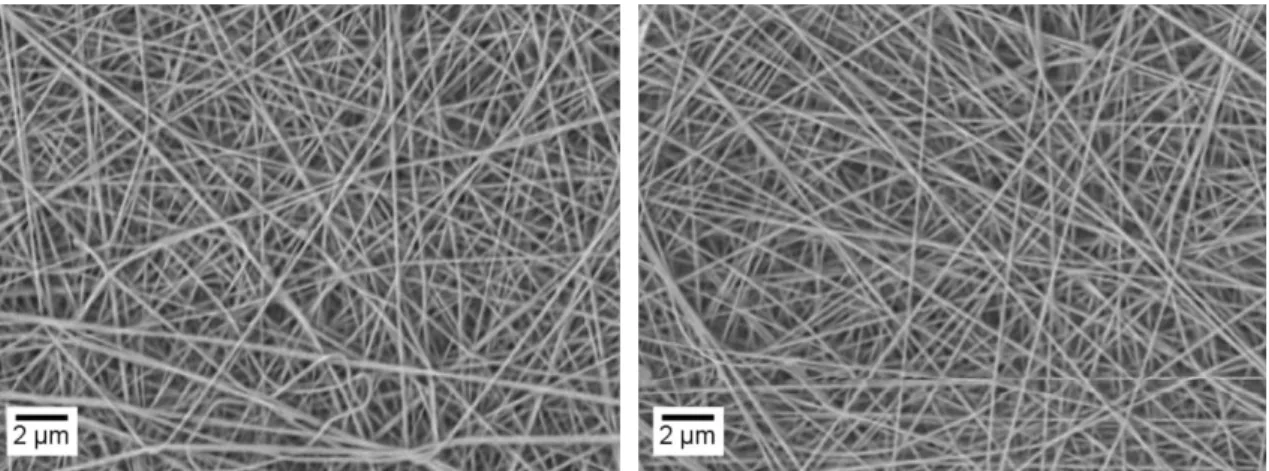 Figure 3.7 – Non-crosslinked polyacrylamide electrospun membrane before (left) and after (right) contact with  water