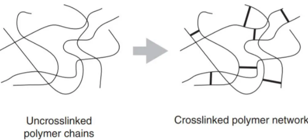 Figure 3.9 - Crosslinking reaction between PAAm and GA [17]. 