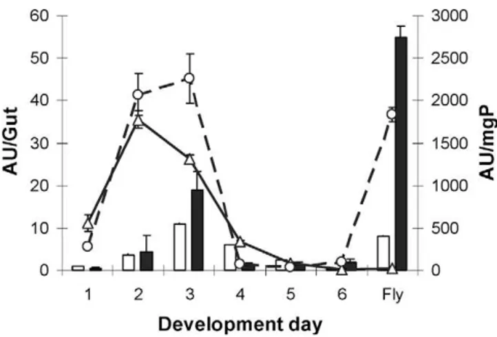 Fig. 1. Digestive disaccharidase activities during development of Ceratitis