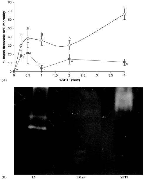 Fig. 5. Effects of SBTI on C. capitata larvae. (A) Effects of SBTI (%, w/w) on larva development in artiﬁcial diet system