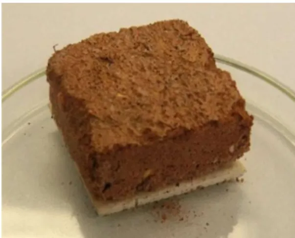 Fig. 2. Square mortar samples placed on the back of glazed ceramic tiles. 
