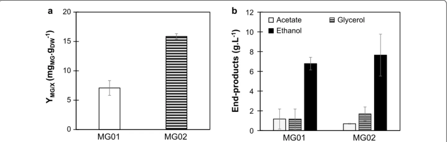 Fig. 2  MG production and end-products formation observed for strains MG01 and MG02 in controlled batch cultivations