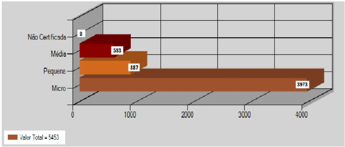 Figura 8 – Classificação das Empresas Cadastradas no Ano de 2012             