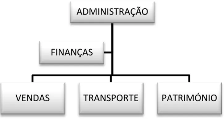 Figura 12 – Departamentalização Funcional da Siver Star 