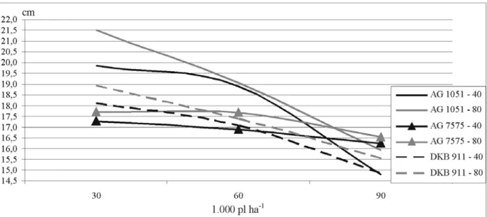 FIGURA 9. Comprimento (cm) médio de espiga de plantas de milho referente aos diferentes tratamentos