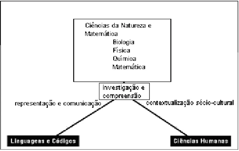Figura 8 – Relação entre Ciências e Linguagens