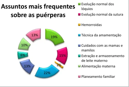 Figura 6. Preocupações mais frequentes relacionados com a puérpera 