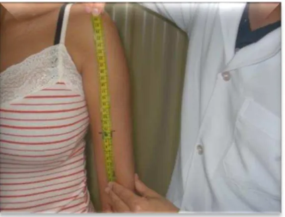Figura  6:  Recomendação  do  SENIAM  para  o  posicionamento  do  eletrodo  no  músculo bíceps braquial