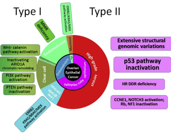 Figure  5:  Expanded  dualist  model  of  ovarian  carcinogenesis  and  its  molecular  pathways