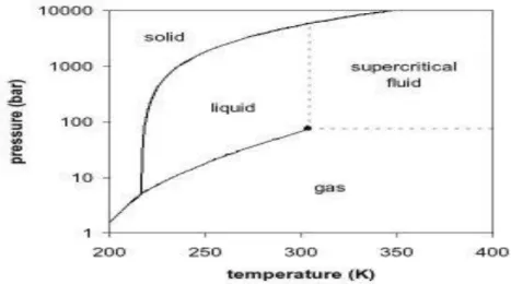 Figura 1.1 – Diagrama de fases do CO 2.  [3]