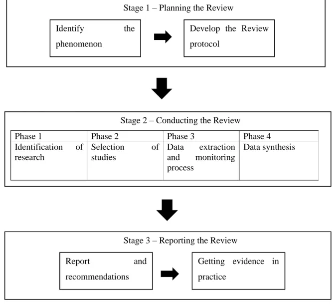 Figure 1 - Process used for the Systematic review 