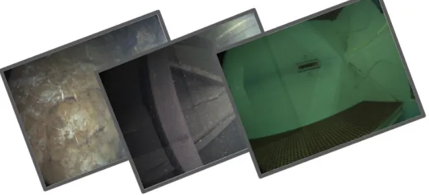 Figure 4.1: Dataset image examples