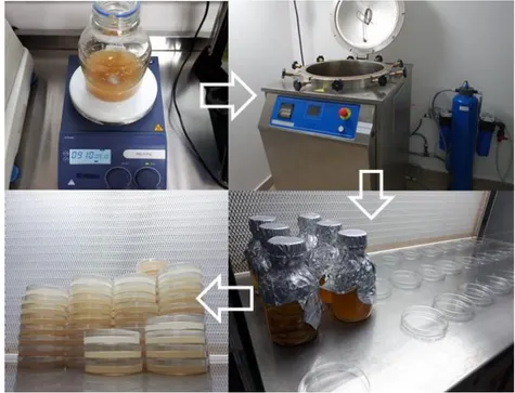 Figura 2.5. Etapas na preparação de placas de Pétri com meio sólido à base de agar-agar