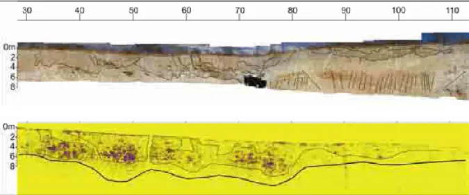 Figura 5 – Fotomosaico e seção-teste GPR do corte de estrada do Afloramento Quixeré, onde foram delimitadas  as geometrias das paleocavernas colapsadas e o limite inferior das tufas