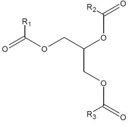 Figura 3 –  Representação molecular do óleo glicerídeo. R 1 , R 2  e R 3  representam as cadeias  longas de hidrocarbonetos 