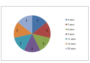 Gráfico 4 – Anos em exercício
