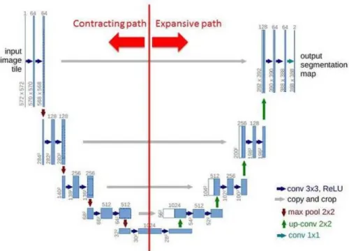 Figure 4.8: Example with the schematics and description of a U-net architecture with the identifi- identifi-cation of the contracting and expanding paths [65].