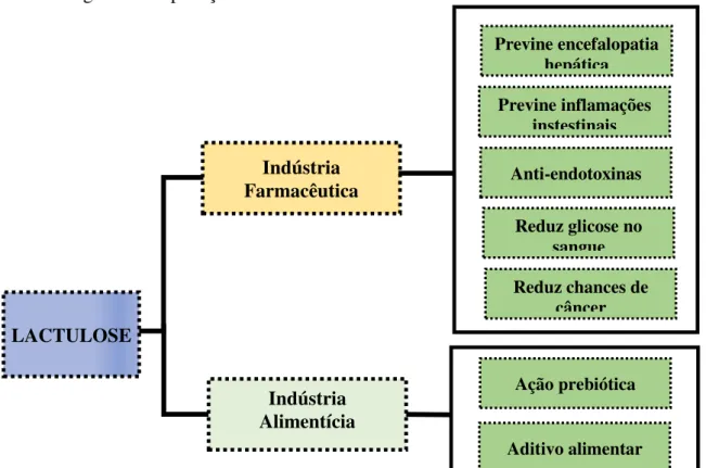 Figura 2.4. Aplicações de lactulose nos setores alimentício e farmacêutico 