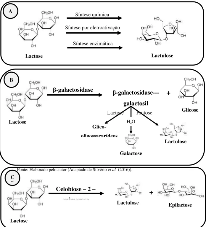 Figura  2.5.  Representação  esquemática  das  diferentes  metodologias  empregadas  para  produzir lactulose a partir da lactose: (A) processos gerais; (B) por síntese enzimática  usando  β -galactosidase e (C) por celobiose-2-epimerase