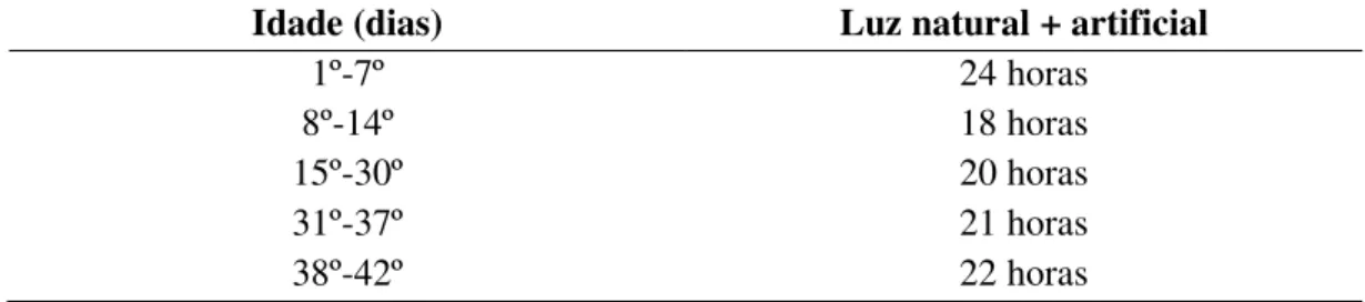 Tabela 1 - Programa de luz utilizado nas diferentes fases de desenvolvimento das aves
