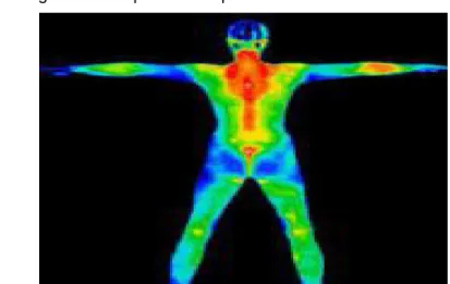 Figura 2 – Temperatura corpo humano 100°F