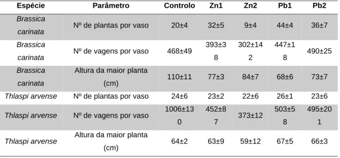 Tabela  3.2:  Parâmetros  biométricos  obtidos  para  a  Brassica  carinata  e  Thlaspi  arvense  nos  ensaios  da  contaminados com zinco ou chumbo