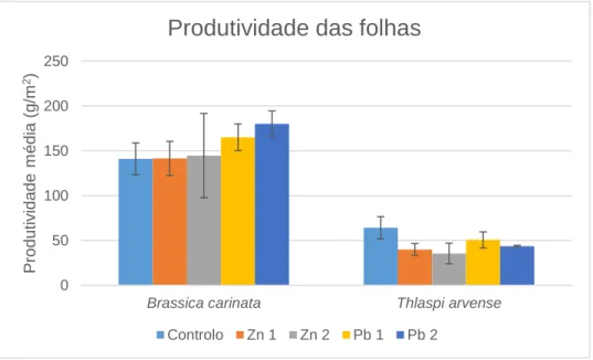 Figura 3.2: Produtividade média (g.m -2 ) das folhas da Brassica carinata e Thlaspi arvense para cada nível de  contaminação com zinco e chumbo