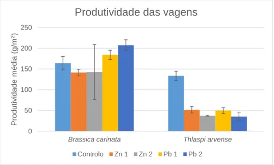 Figura 3.3: Produtividade média (g.m -2 ) das vagens da Brassica carinata e Thlaspi arvense para cada nível de  contaminação com zinco e chumbo